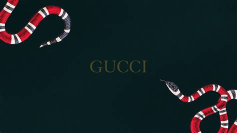 gucci snake collection.